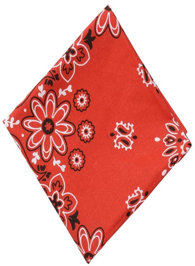 Aeromax Jr. Train Engineer Suit with Cap and Accessories, Size 2/3 - Image 4